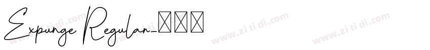 Expunge Regular字体转换